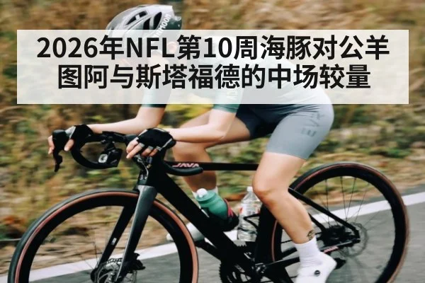 2026年NFL第10周海豚对公羊 图阿与斯塔福德的中场较量